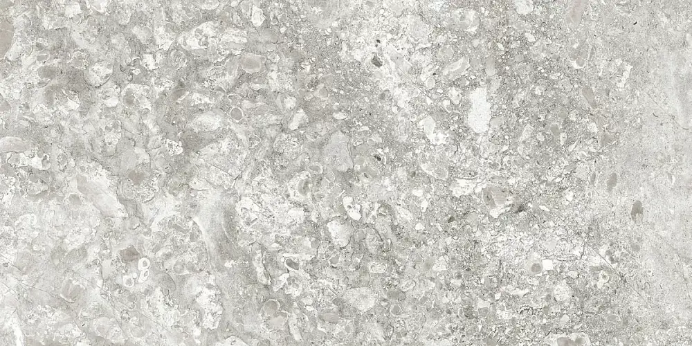 Лунар Светло-Серый MR ID9099b002MR Керамогранит 60x120