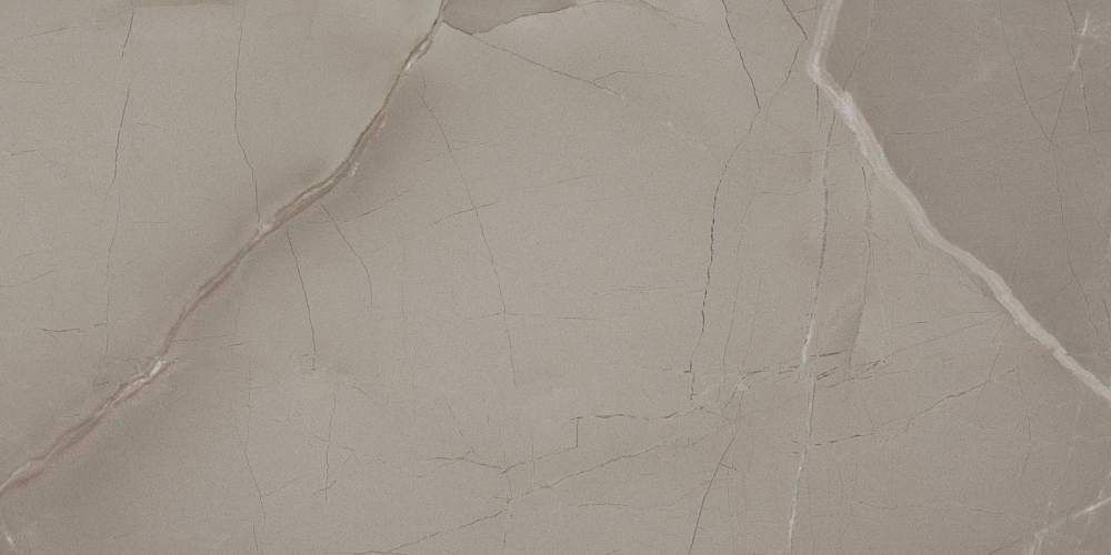 Passion Lux 90 Taupe Глянцевая 45x90