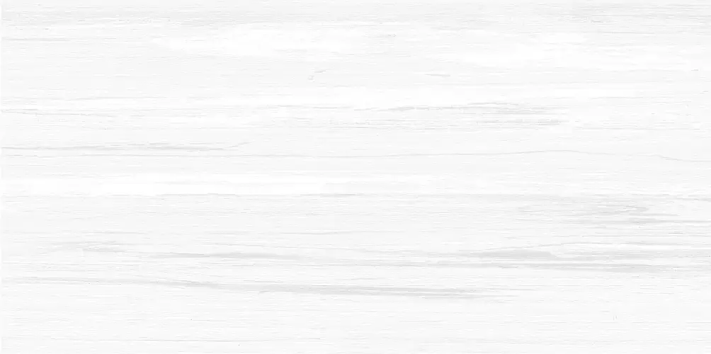 Vincenzo Grigio WT9VIN25 Матовая 24,9x50