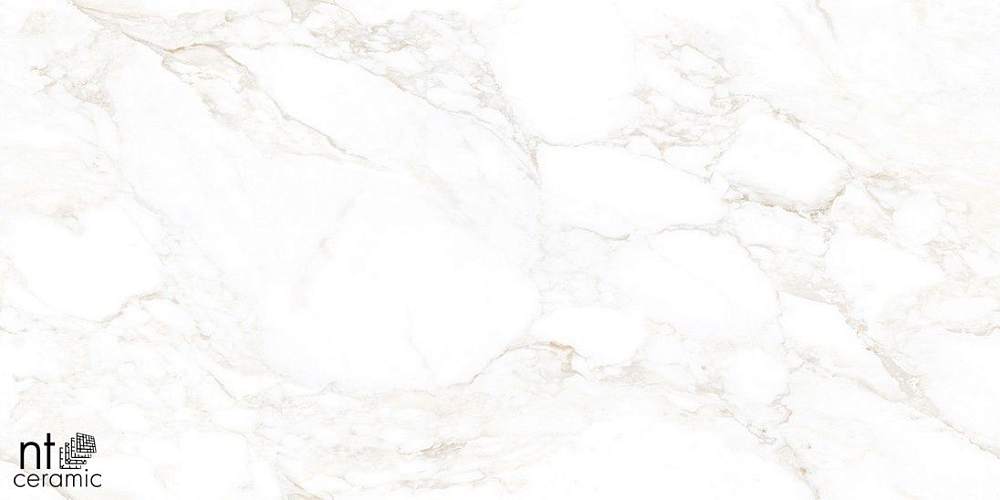 Marble Extra Endless Mat Керамогранит 60x120