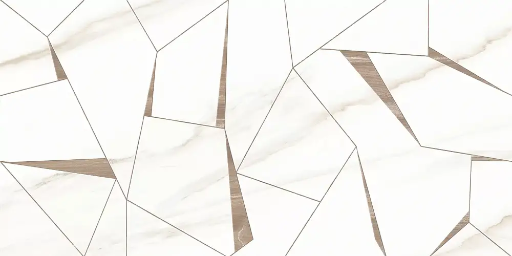 Esprit Wall WT9ESR01 Глянцевая 25x50