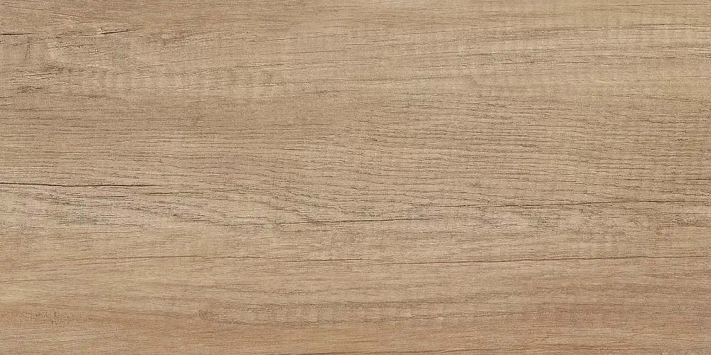 Miloni Бежевый TWU2550MLN04 Матовая 24,9x50