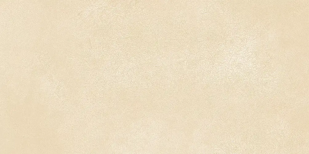Petra Beige WT9PET11 Матовая 24,9x50