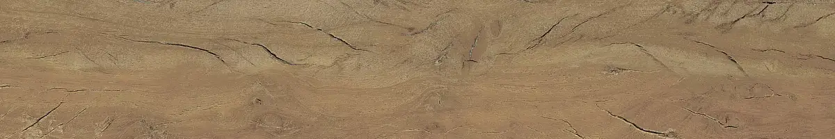 FS Forest Plank Natural 39699 Матовая 7,3x45