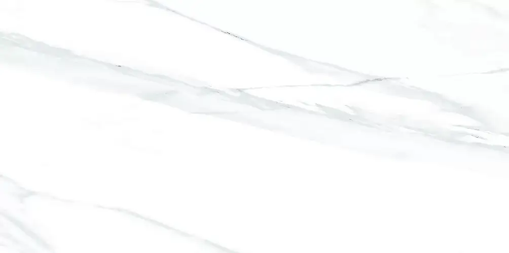 Julia Light WT9JUL00 Глянцевая 24,9x50