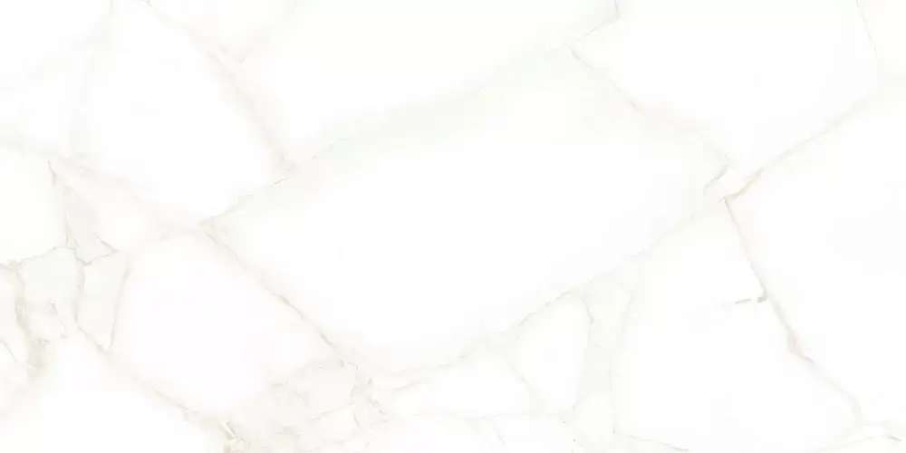 Artdeco White WT9ARE00 Глянцевая 25x50