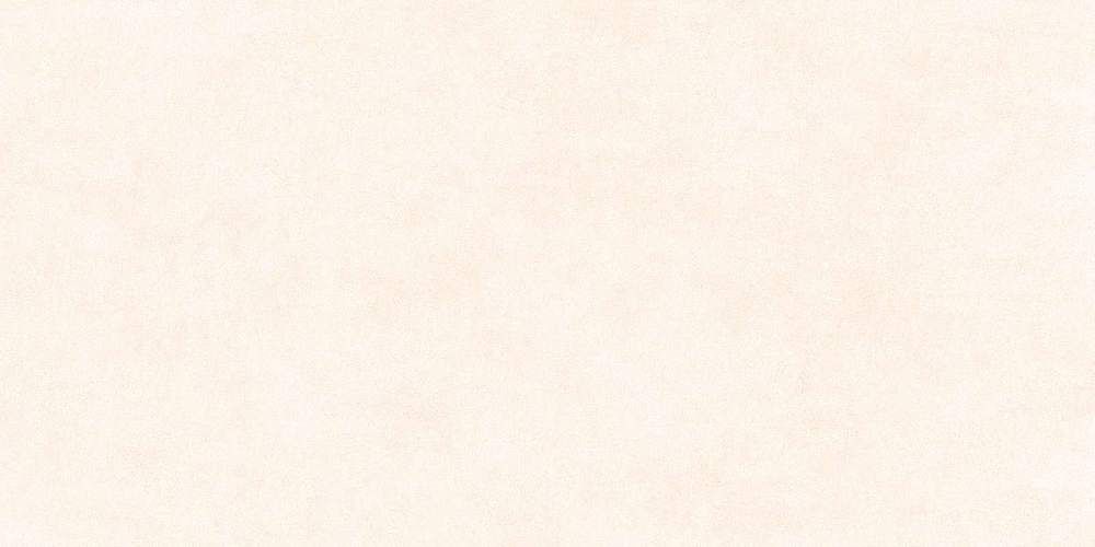 Berlin Бежевый GFU60120BLN04R Матовый Керамогранит 60x120