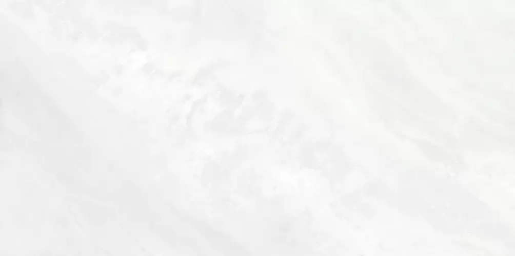 Palmira Light WT9PAL00 Глянцевая 24,9x50