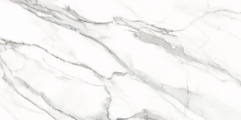 Omega Silver D12053M Матовый Керамогранит 60x120