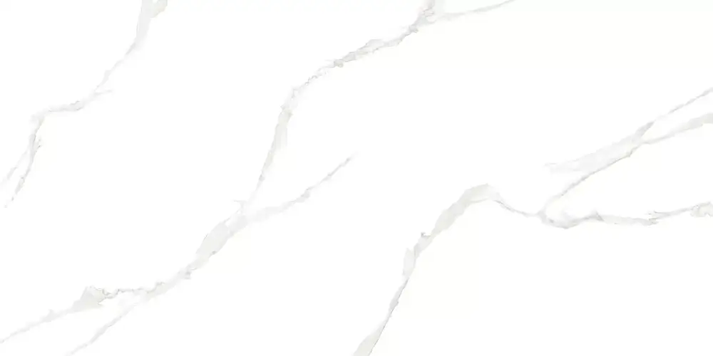 Elemento Bianco Carrara WT9ELT00 Глянцевая 25x50