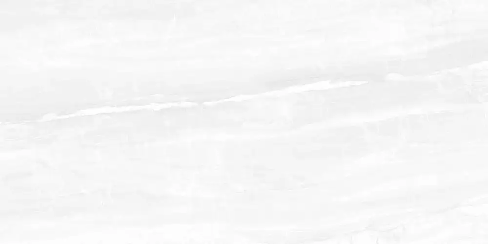 Interni Grey WT9INR15 Глянцевая 25x50