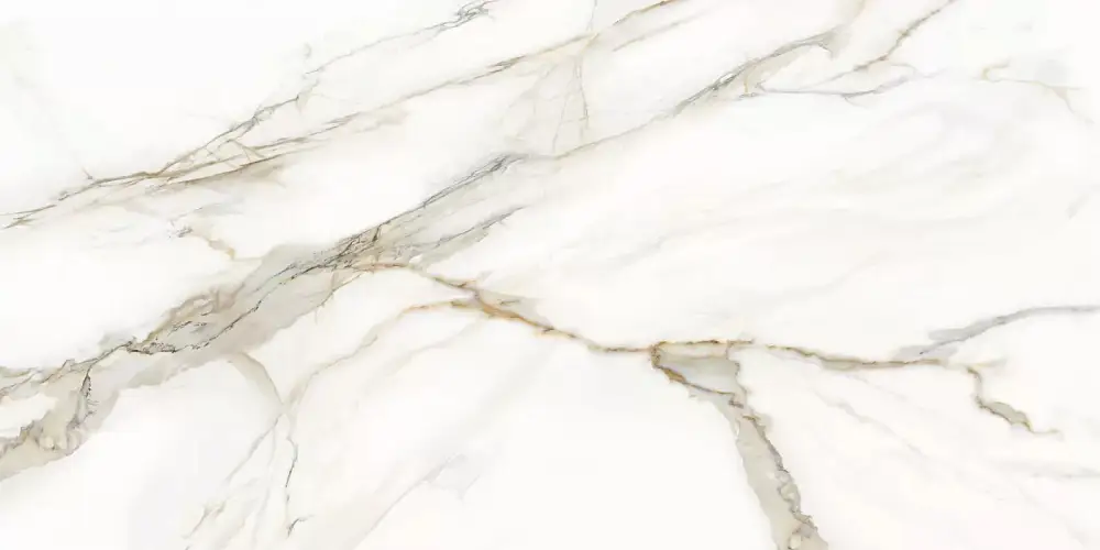 Omega Gold D12054M Матовый Керамогранит 60x120