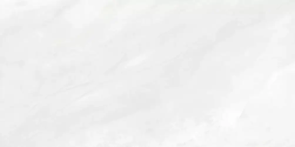 Palmira Light WT9PAL00 Глянцевая 24,9x50