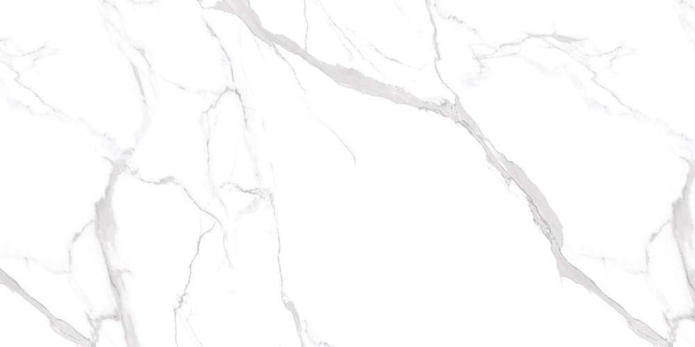 Marmo Statuario Ultra White NTT99512M Керамогранит 60x120