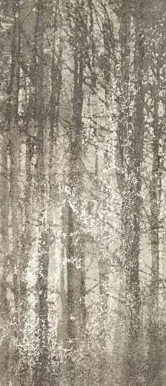 Ylico Wood Fog fQWO Керамогранит 120x278