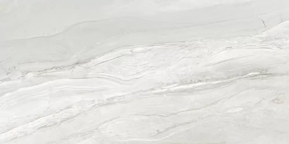 Argentina Gray 60120ARI15P Полированный Керамогранит 60x120