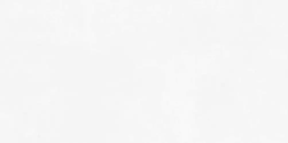 Antre White WT9ANR00 Матовая 24,9x50