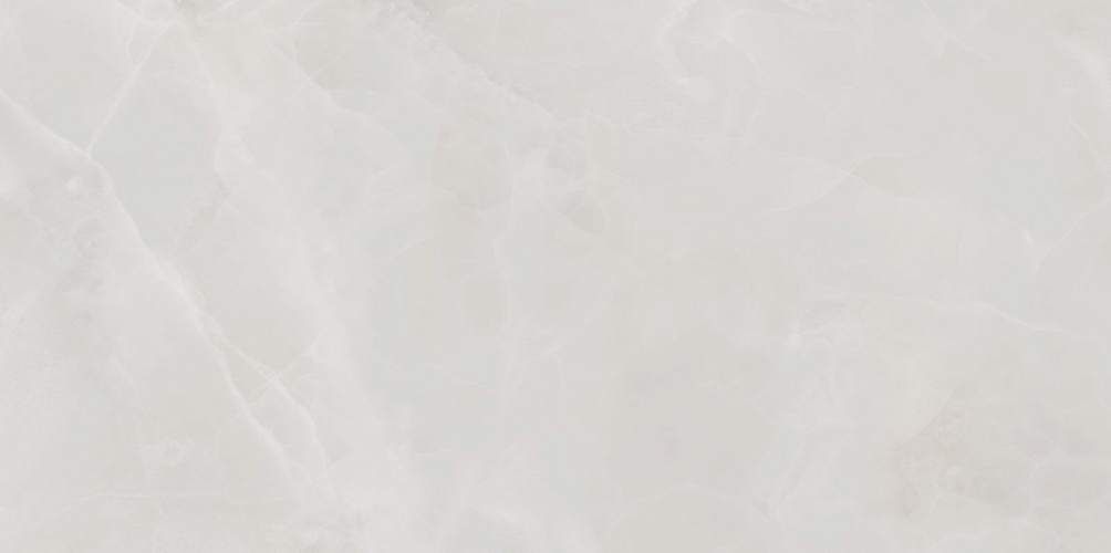 Rivoli Серый TWU09RVL007 Глянцевая 24,9x50