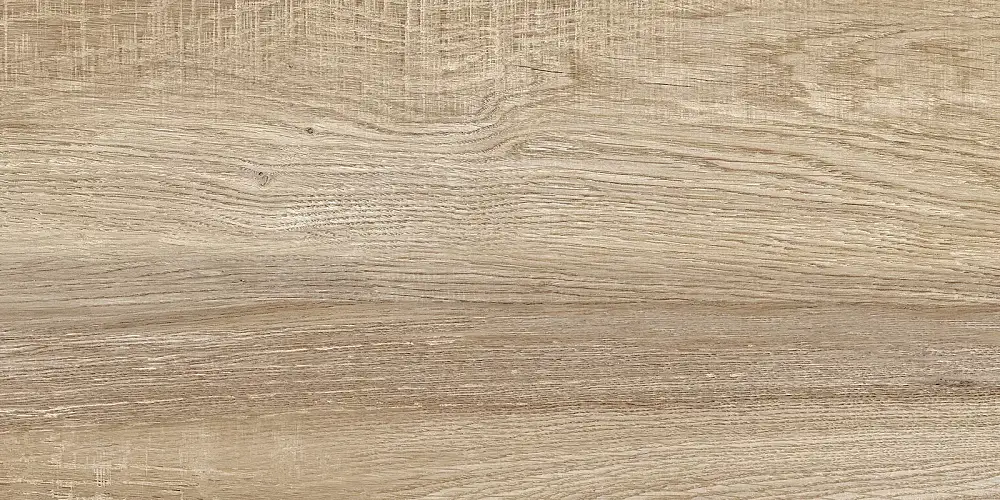 Euphoria Бежевый TWU2550EPH40 Матовая 24,9x50