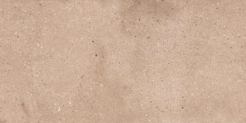 Rockstar Delhi NTTVL99828M Матовый Керамогранит 60x120