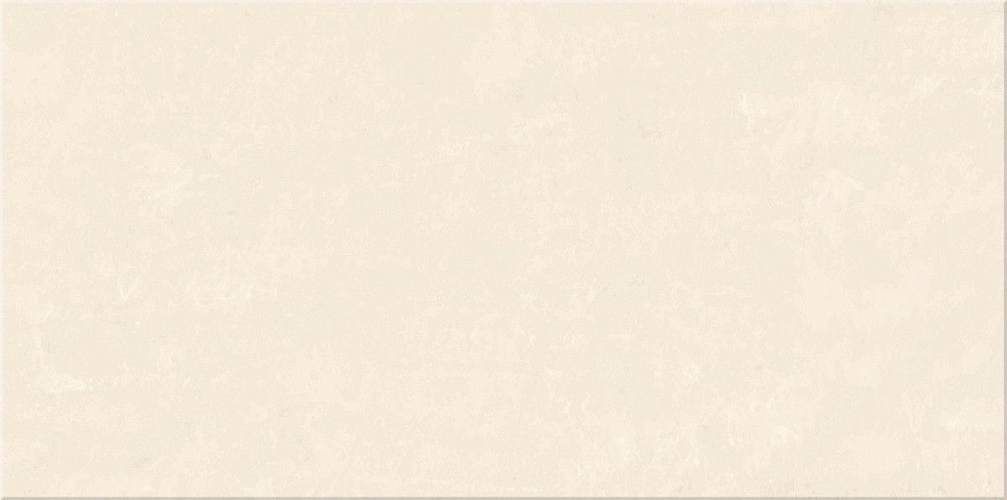 Provence Beige 20,1x40,5