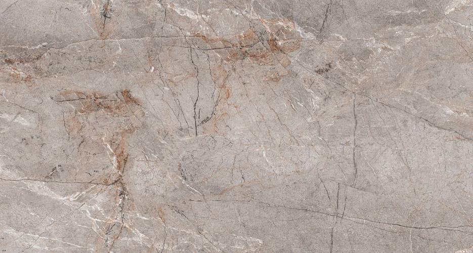 Lester Grey Mat S4431M Серый Керамогранит 60x120