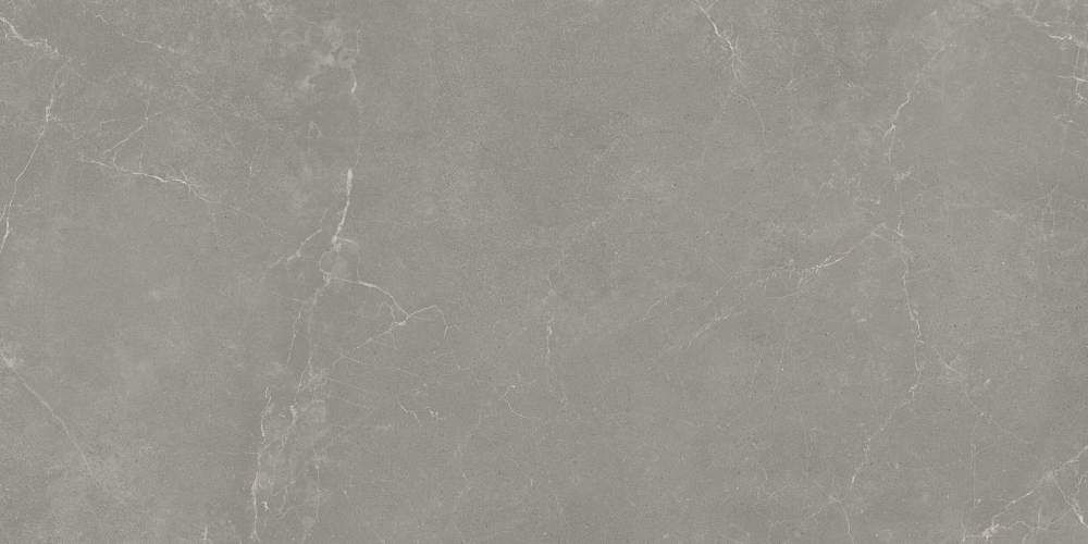 Smoky Grey Dark Смоки Грэй Дарк RK189H206A Матовый Керамогранит 90x180