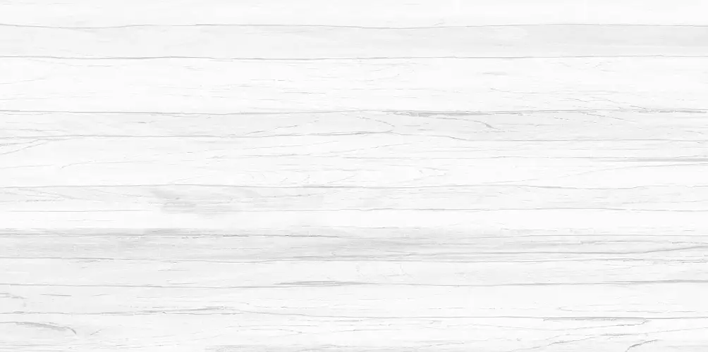 Vincenzo Casa WT9VIC25 Матовая 24,9x50