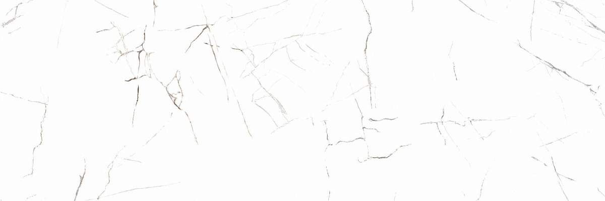 Frost White WT15FRR00R Глянцевая 24,6x74