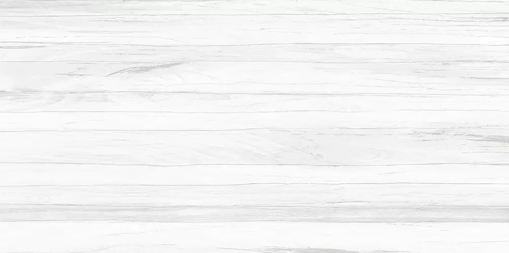 Vincenzo Casa WT9VIC25 Матовая 24,9x50