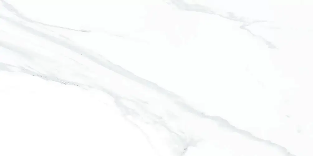 Julia Light WT9JUL00 Глянцевая 24,9x50