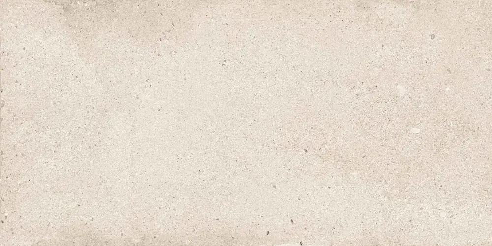 Rockstar Detroit NTTVL99827M Матовый Керамогранит 60x120