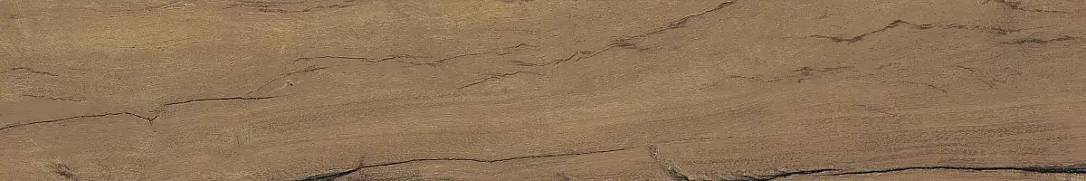 FS Forest Plank Natural 39699 Матовая 7,3x45