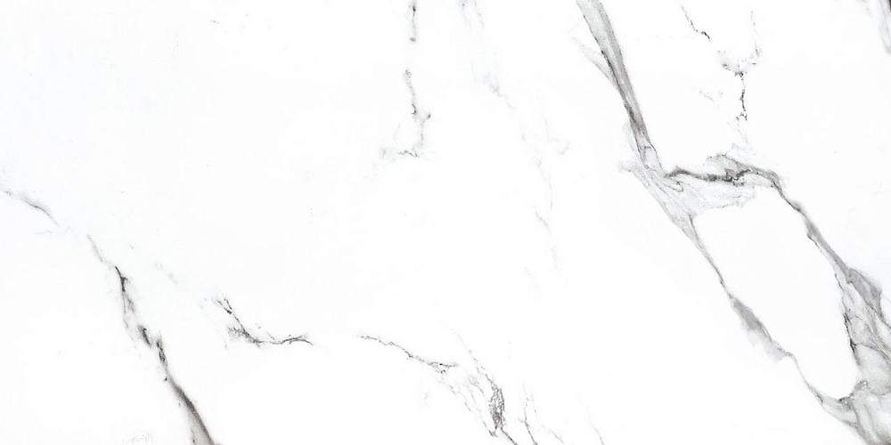 Bright And Shiny BB612NTT9100P Керамогранит 60x120