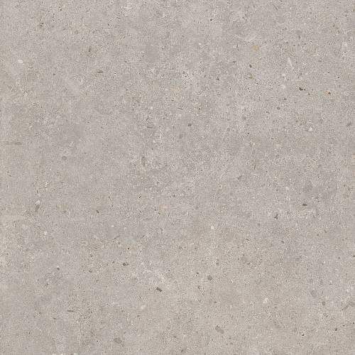 Риккарди Серый Светлый Матовый Обрезной SG653720R Керамогранит 60x60