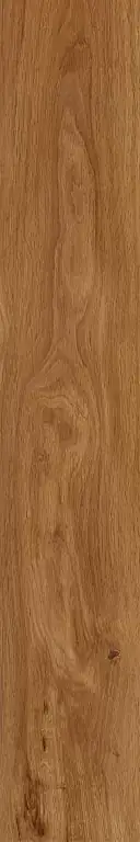 Forest Amber Керамогранит 19,4x120