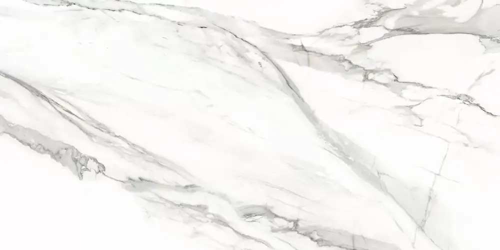 Omega Silver D12053M Матовый Керамогранит 60x120