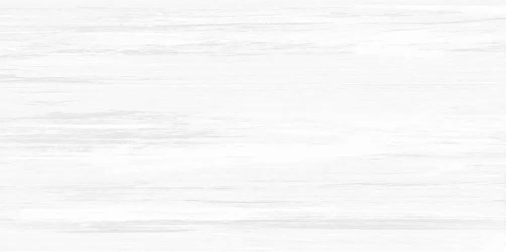 Vincenzo Grigio WT9VIN25 Матовая 24,9x50