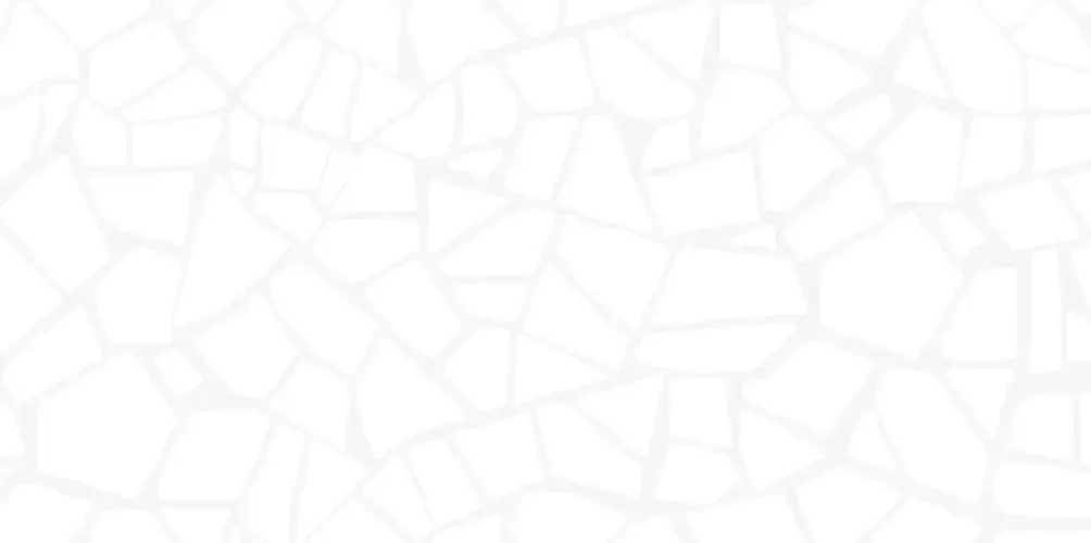 Smalta White WT9SML00 Глянцевая 24,9x50