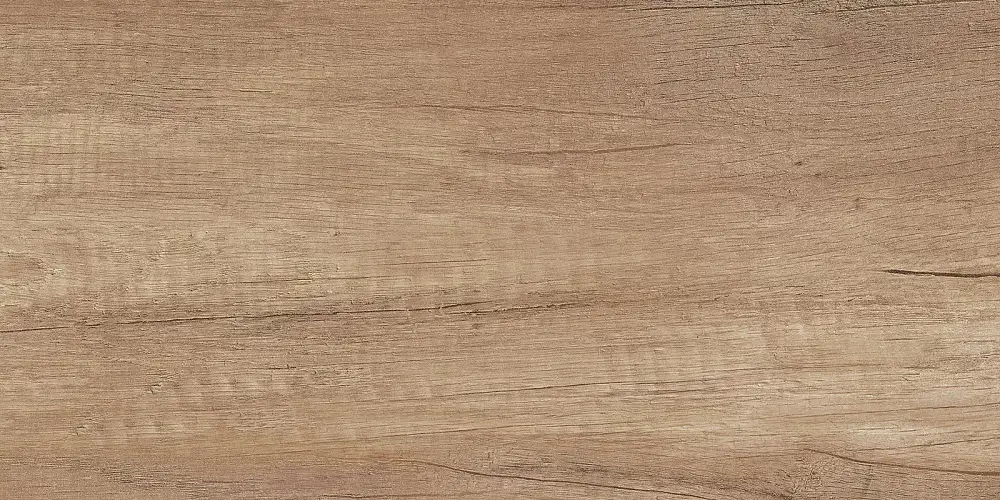 Miloni Бежевый TWU2550MLN04 Матовая 24,9x50