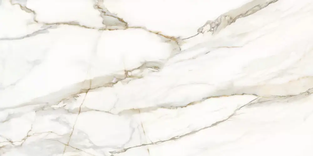 Omega Gold D12054M Матовый Керамогранит 60x120