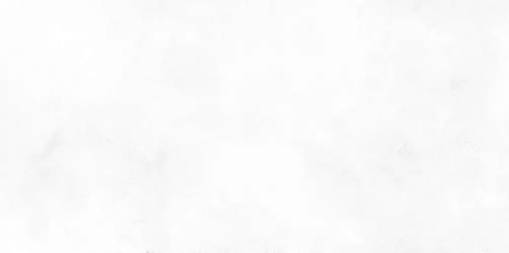 Konor White WT9KON00 Матовая 24,9x50