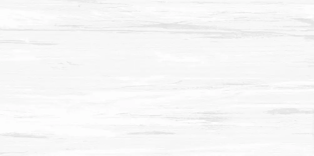 Vincenzo Grigio WT9VIN25 Матовая 24,9x50