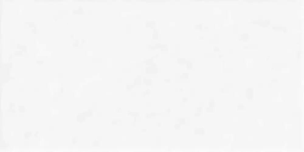 Discover Белый TWU2550DCV00 Матовая 24,9x50