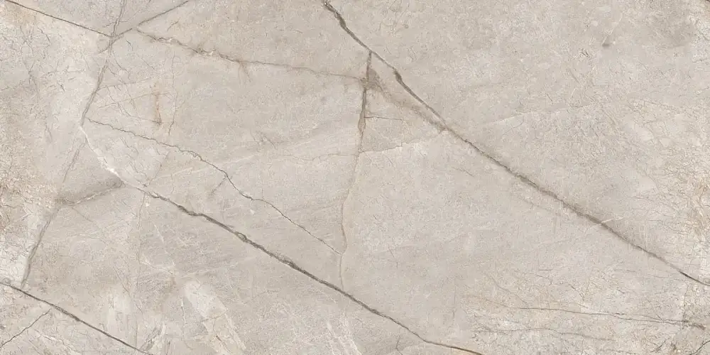 Silver Stone Carving N80016 Керамогранит 60x120