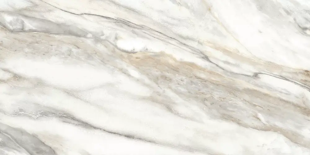 Euphoria Серый TWU2550EPH74 Матовая 24,9x50