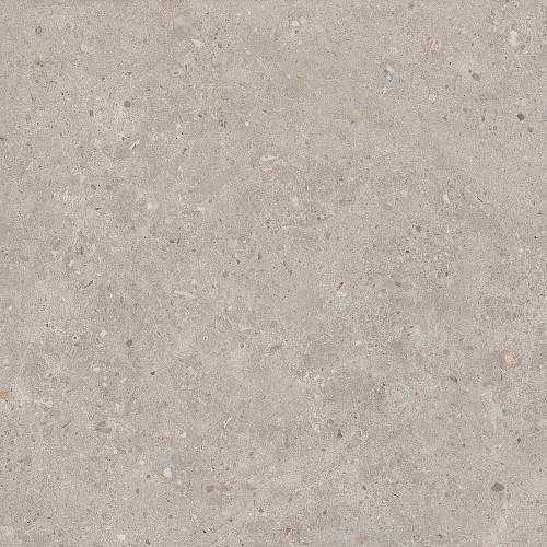 Риккарди Серый Светлый Матовый Обрезной SG653720R Керамогранит 60x60