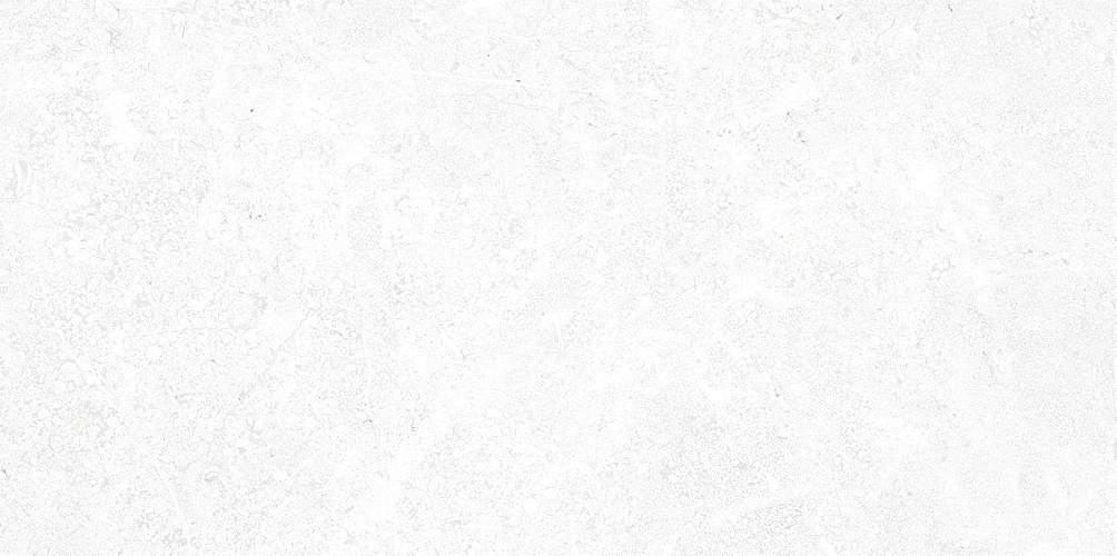 Stone Белый TWU09TON000 Матовая 24,9x50