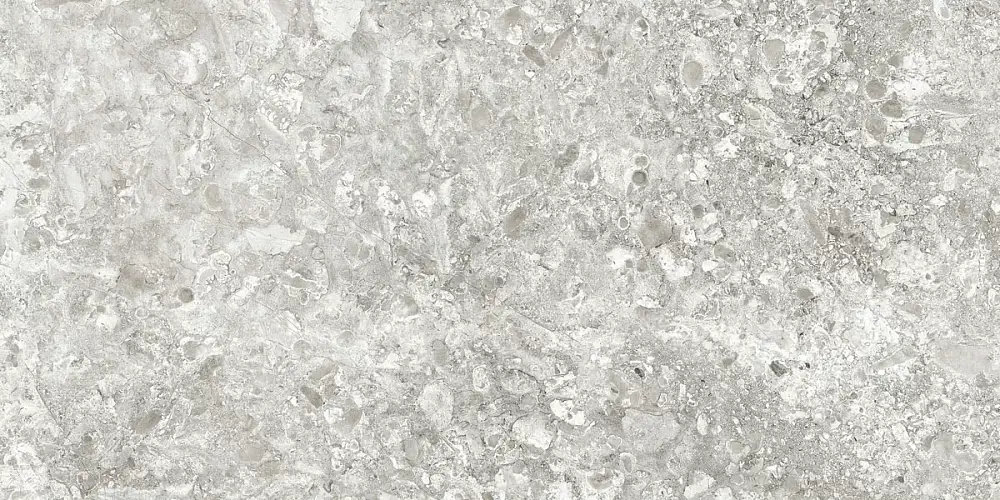 Лунар Светло-Серый MR ID9099b002MR Керамогранит 60x120