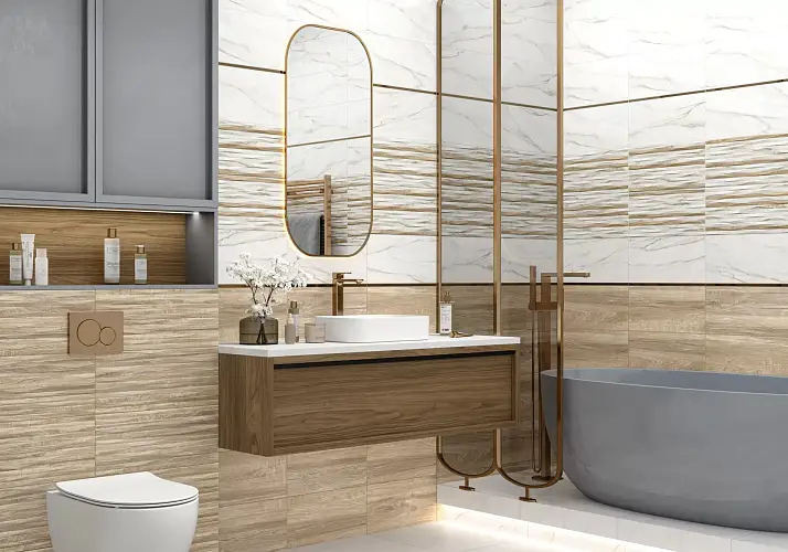 Euphoria Белый TWU2550EPH24 Матовая 24,9x50